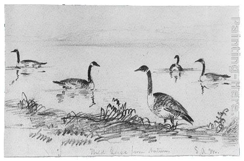 Shepard Alonzo Mount Wild Geese (from McGuire Scrapbook)